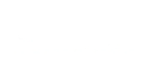 logo branca Porto Mangueiras Paranaguá